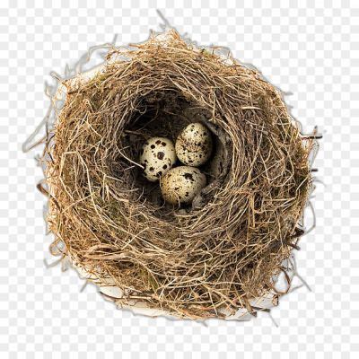 Nest Transparent Image PNG Isolated - Pngsource