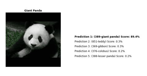 Use Explainable AI to Prove Image Classification Works