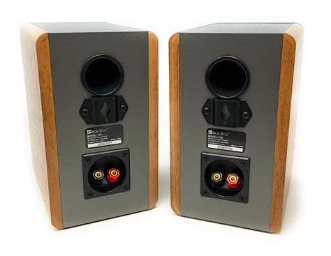 Buy Singing Wood T25 Passive 2 Way Bookshelf Speakers with preinstalled ...