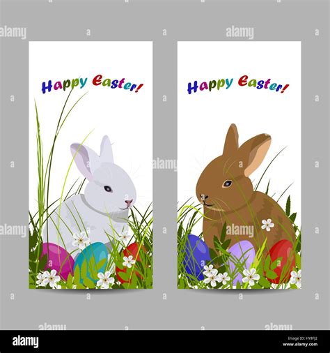 Rabbits ear plant Stock Vector Images - Alamy