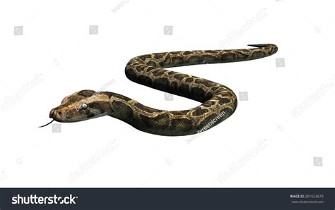 Image result for Snake Game Black Background Using Python