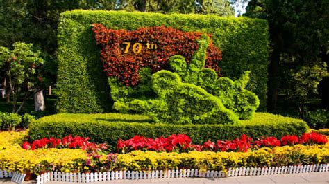 Temple of Heaven, Beijing - TimesTravel