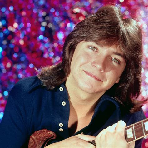 David Cassidy - Looking Through The Eyes Of Love - DH Music