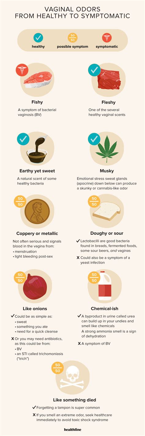 VAGINA ODOR: Causes And Tips For Keeping Your Lady Part Fresh ...