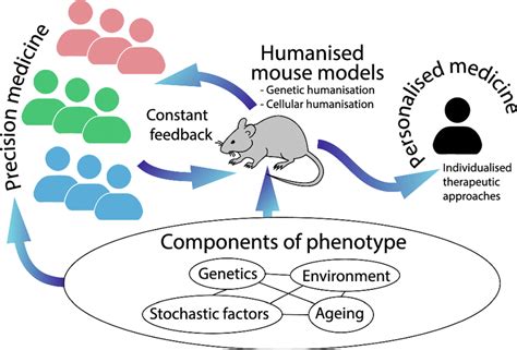 Image result for Mouse Model Reference