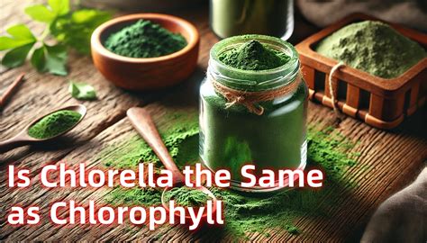 Chlorella vs. Clorofila: ¿Es la clorella lo mismo que la clorofila??