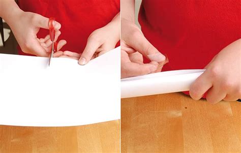 Image result for Geyser Science