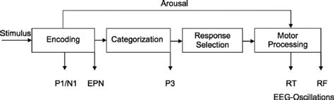 Image result for Encoding Information Processing Approach