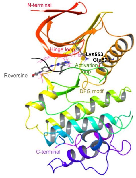 Computational Biology Dynamics of Mps1 Kinase Molecular Interactions ...