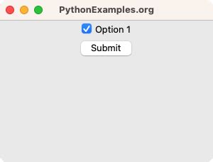 Tkinter Widgets Python Check Button 的图像结果