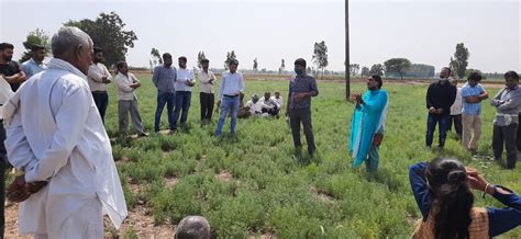 Krishi Vigyan Kendra, Ambala