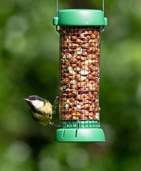 Bird Lovers Peanut Feeder from Living with Birds