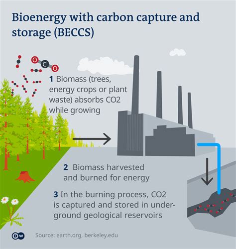 Carbon removal is the latest way to fight climate change — but will it take off in time to save the