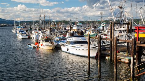 Neil Chapman Campbell River at Logan Newbigin blog