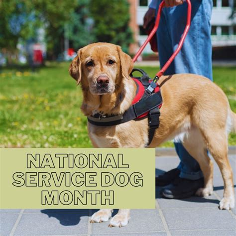 TAHOMA VETERINARY HOSPITAL - Spanaway WA - Hours, Directions, Reviews ...