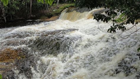 Cascadas del Amazonas, Manaus - Central de Reservas