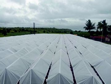 Plant Protection Sheets/portable Fruit Ripening Chambers