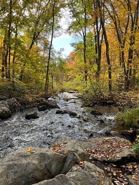 Historical Gems and Artistic Wonders: Unveiling the Rich Tapestry of ...