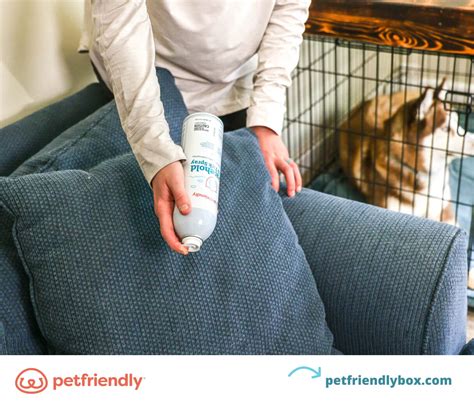 Will Dawn Dish Detergent Kill Fleas On Dogs at Joan Fleming blog