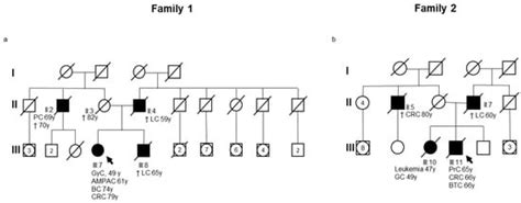 An Integrated Clinical, Germline, Somatic, and In Silico Approach to ...