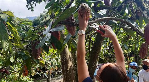 PANDORA (Santa Barbara) - Inn Reviews & Photos - Tripadvisor