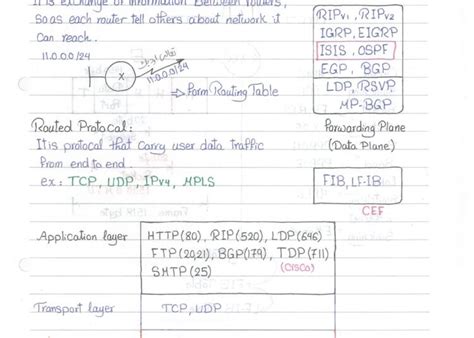 Image result for Is Is Routing Protocol