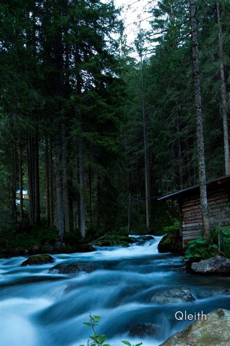 Image result for Clean Forest Command Minecraft Java