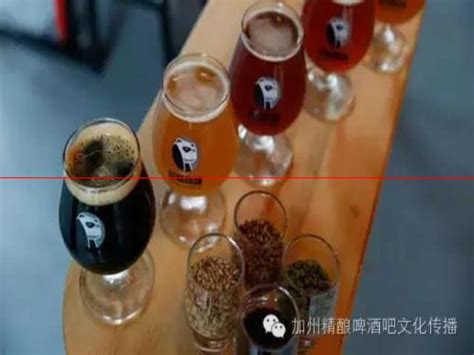 中国精酿啤酒行业发展现状调查 - 知乎