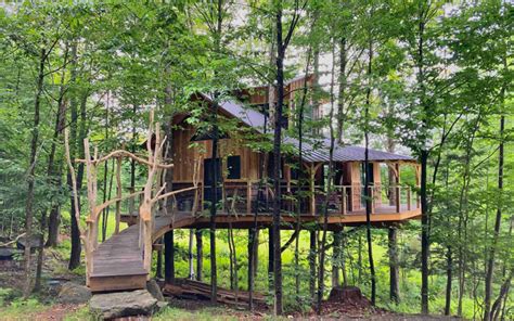 Image result for Treehouse Direct Big Tree