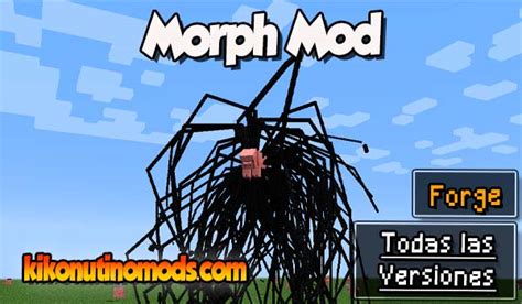 Image result for How to Install Forge Morph Mod