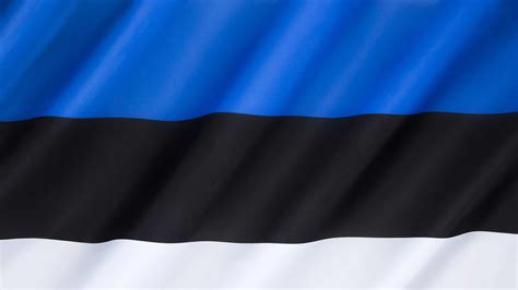 Estonian Flag
