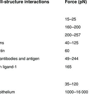 Interactive Pairs Examples Forces 的图像结果