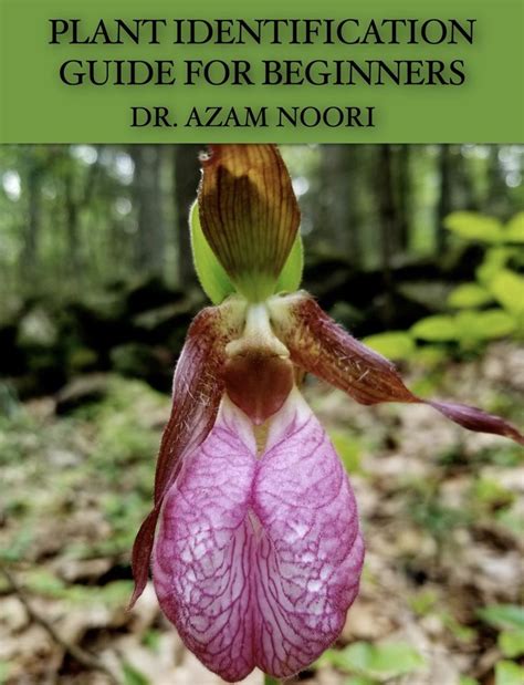 Plant Identification Guide 的图像结果