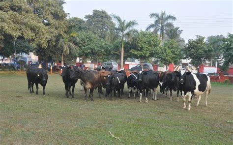 Official Website: ICAR-IVRI Izatnagar