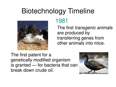 Drawing of the Progression of Biotechnology 的图像结果