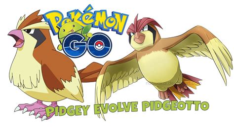 Pidgey Evolution Level