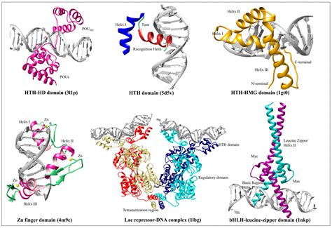 Protein Structural Uniqueness at Natalie Hawes blog