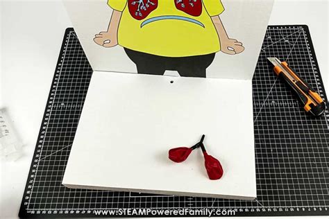 Image result for Lung Model Science Fair