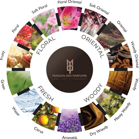 Olfactive Family – MAISON DES PARFUMS