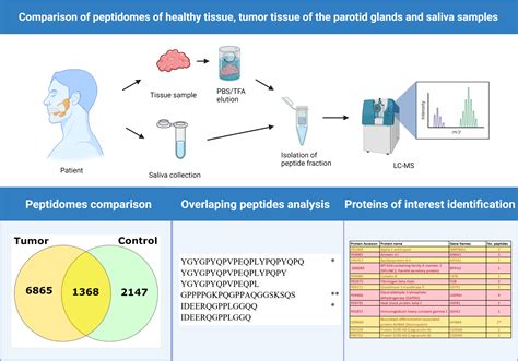 Comparison of Peptidomes Extracted from Healthy Tissue and Tumor Tissue ...