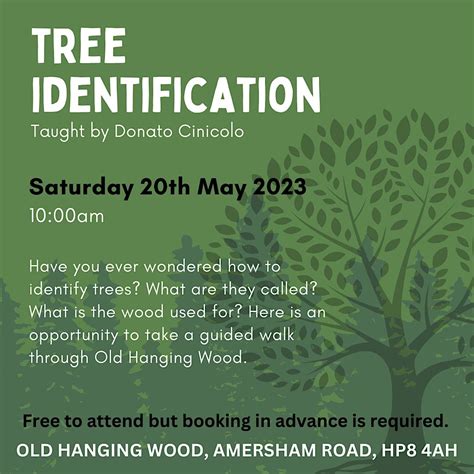 TREE IDENTIFICATION AND USES OF THE WOOD, Old Hanging Wood, Little ...