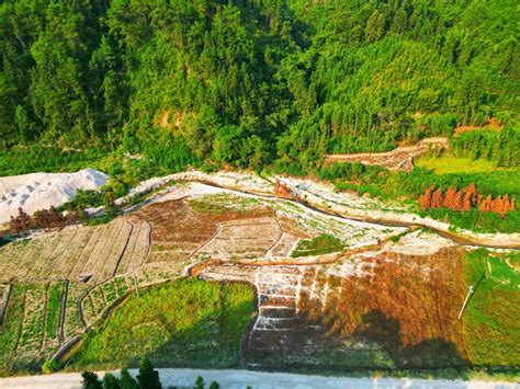 国内外矿山生态环境破坏与矿山生态修复