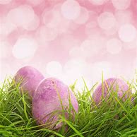 Image result for Easter Photography Ideas