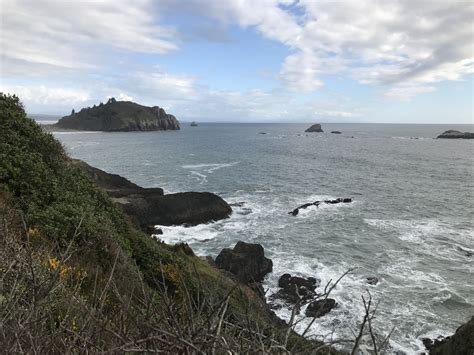 You can glimpse a view of Trinidad Head from the Elk Head Trail.