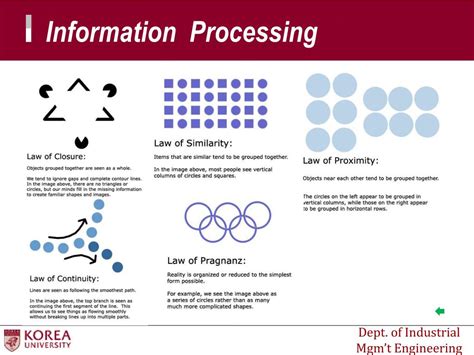 Image result for Information Processing Explained