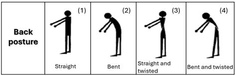 Mind, Machine, and Meaning: Cognitive Ergonomics and Adaptive ...