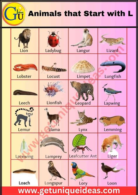 List of 100 Animals that Start with L: Images, Facts - GetUniqueIdeas