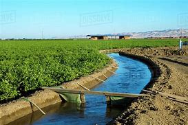 irrigation channel 的图像结果