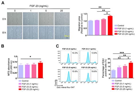 Fibroblast Growth Factor 23 Stimulates Cardiac Fibroblast Activity ...