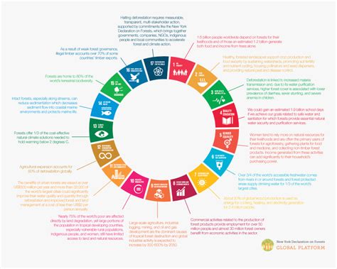 SDG Explained 的图像结果